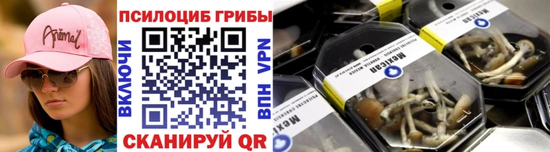 закладка  Кировград  Псилоцибиновые грибы MAGIC MUSHROOMS 
